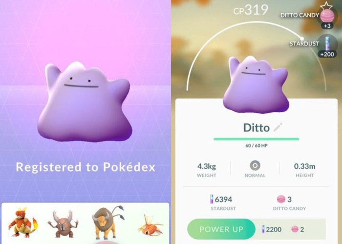 You can now capture Ditto in Pokémon GO