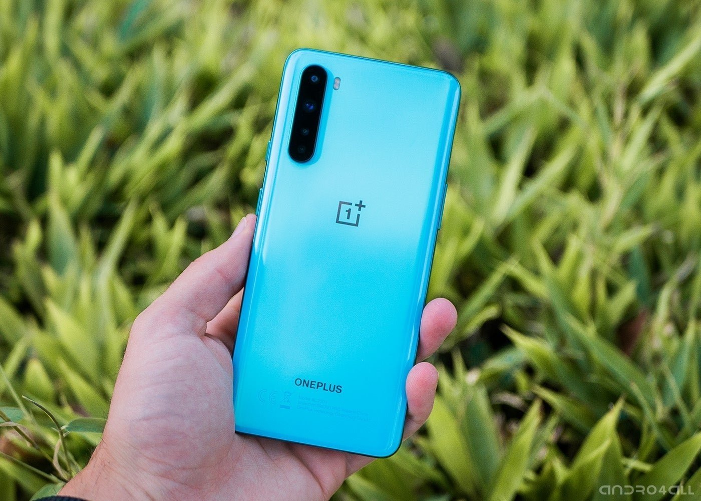 OnePlus Nord, rear in blue 