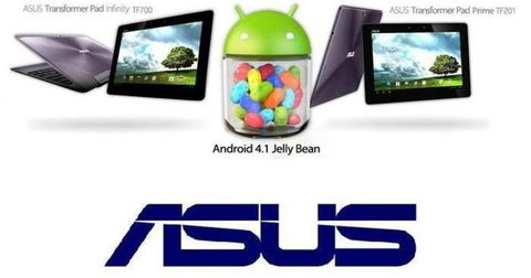 Jelly Bean llegará hoy al modelo Asus Transformer Prime y, mañana, al Transformer Pad Infinity