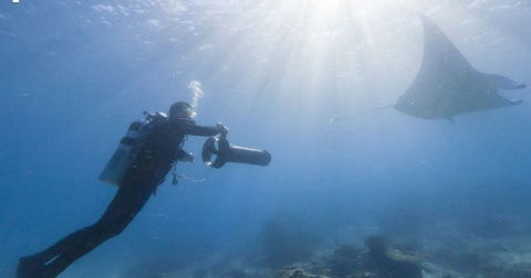 Google Maps amplía sus fronteras con impresionantes imágenes del fondo submarino