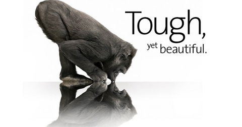 Descubre qué terminal es el primero en llevar protección Gorilla Glass 4