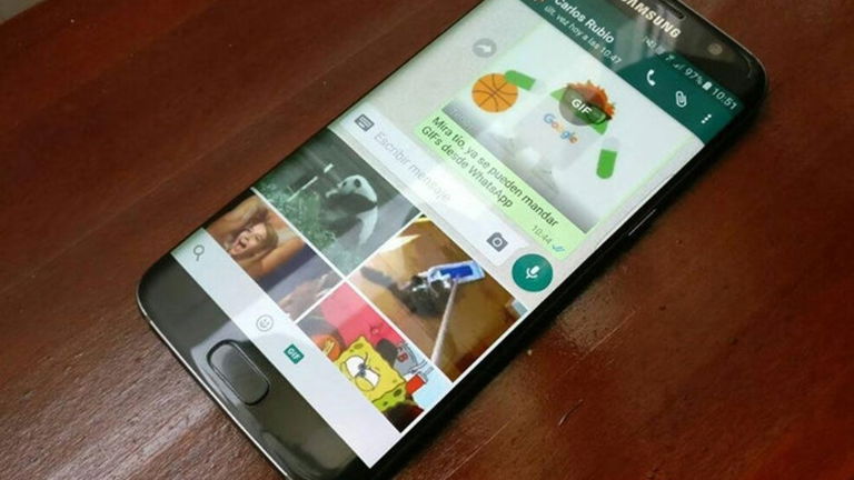 ¡WhatsApp ya permite buscar GIFs en Giphy y enviarlos desde la propia app!