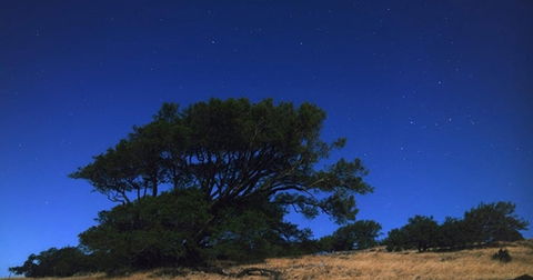 Estas fotos nocturnas tan espectaculares se han sacado con un Pixel y un Nexus 6P