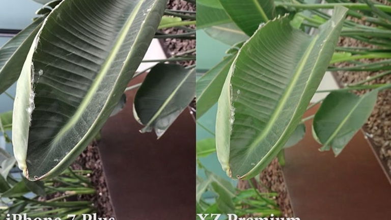 Duelo de cámaras en vídeo entre el Sony XZ Premium vs iPhone 7 Plus