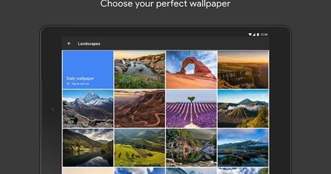 Google Wallpapers recibe nuevas categorías y opciones exclusivas para los teléfonos Pixel