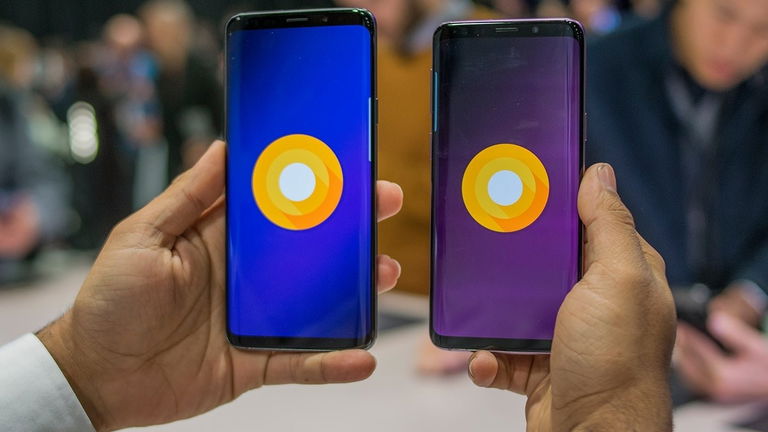 Google mueve ficha, los fabricantes solo podrán lanzar móviles nuevos con Android Oreo