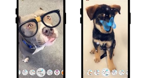 Cómo no salvar una red social que se muere: Snapchat lanza los filtros para perros