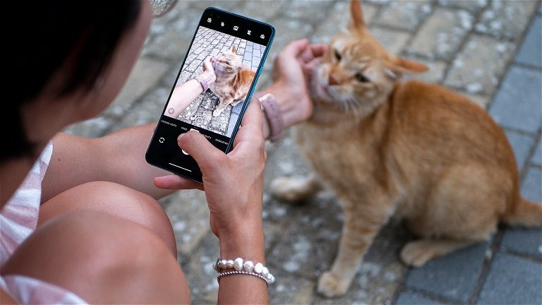 6 trucos sencillos que sí que mejorarán tus fotos con el móvil