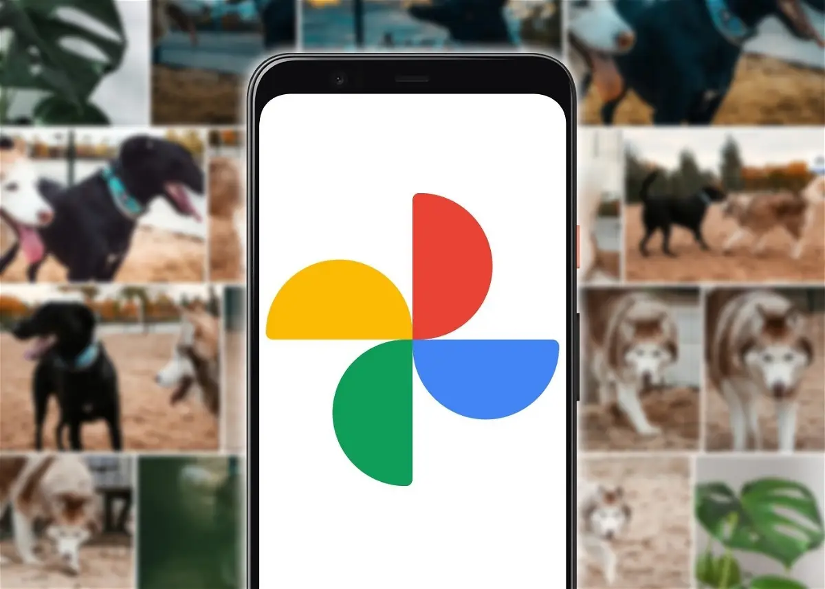 Google Fotos: cómo descargar todas tus fotos (2023)