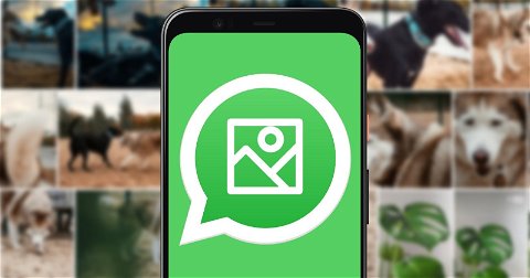Cómo guardar las fotos de WhatsApp en la galería de tu móvil