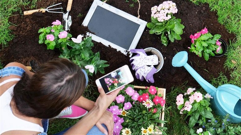 Las 11 mejores app de jardinería para cuidar tus plantas