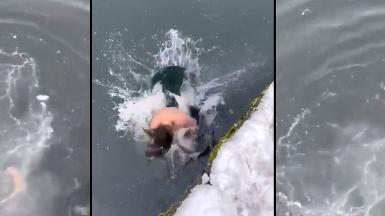 ¿Te meterías en agua congelada para salvar tu móvil? Este hombre ni lo ha dudado