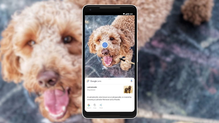 Cómo identificar cosas y objetos en fotos de la galería y capturas de pantalla usando Google Lens