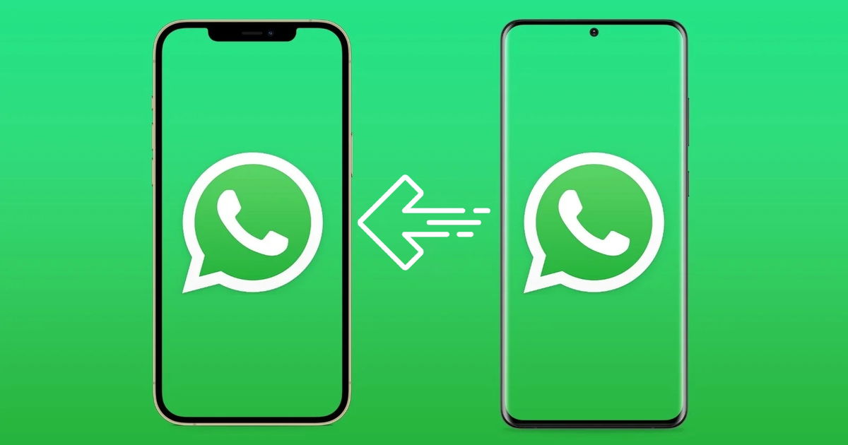 Il trasferimento delle chat da un cellulare all’altro non sarà un problema con l’ultimo aggiornamento di WhatsApp