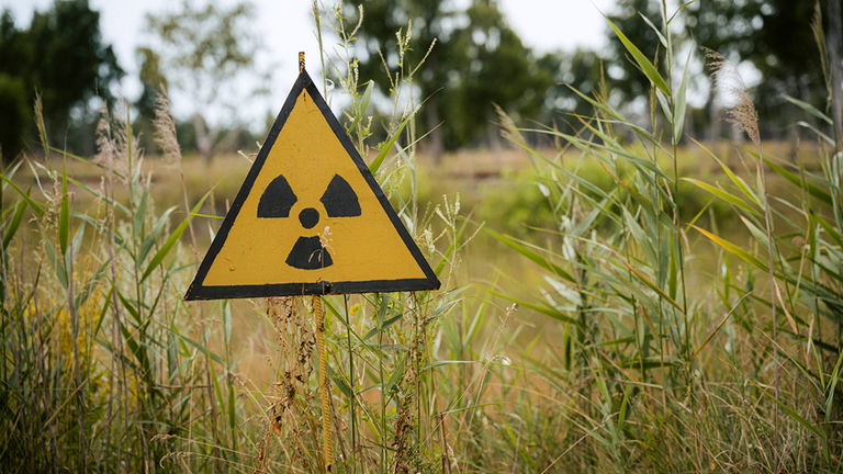 El gran misterio sobre si las cucarachas podrían sobrevivir a un ataque nuclear: la ciencia lo tiene claro