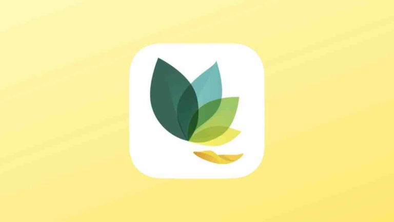 He probado Oak, una aplicación de meditación que no te creerás que sea gratis