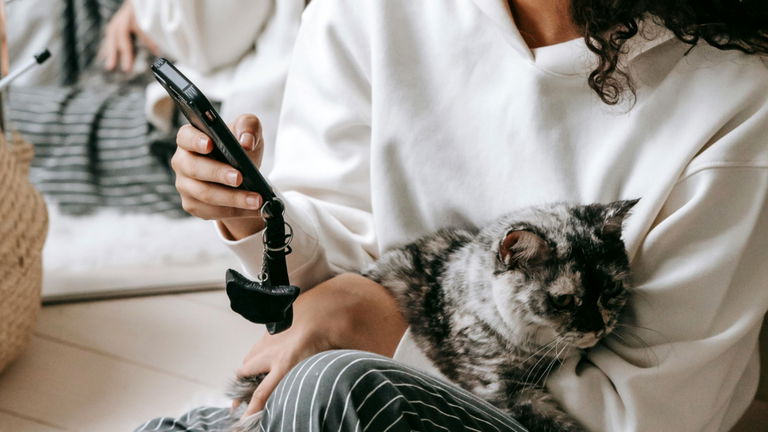 Esta app usa inteligencia artificial para detectar dolor en los gatos: es un éxito en Japón