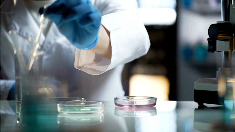 Científicos chinos alertan de un hongo que jamás había infectado humanos hasta ahora