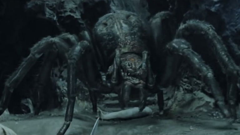 Han descubierto una nueva e increíble tarántula prácticamente única, pero ya está en peligro de extinción