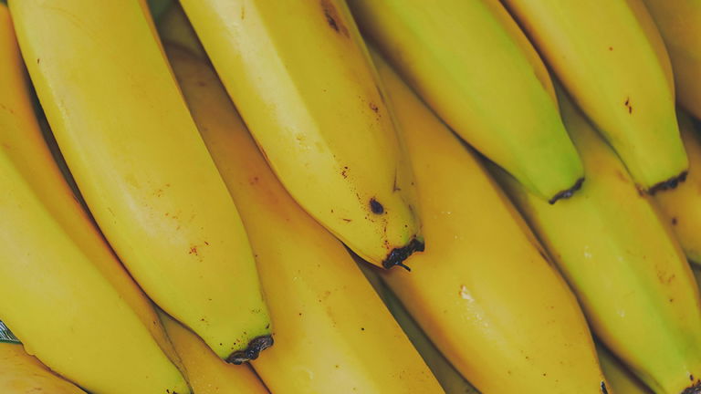 El plátano tal y como lo conocemos puede desaparecer para siempre, pero ahora hay un plan para salvarlo de la extinción