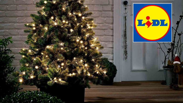 Este producto para iluminar tu casa está arrasando en el Lidl: hay colas para comprarlo