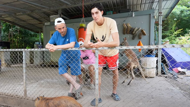 Mientras ElXokas y Plex hablaban de la vida, Frank estaba luchando por la suya. Así fue el 'tortazo' que recibió de su canguro