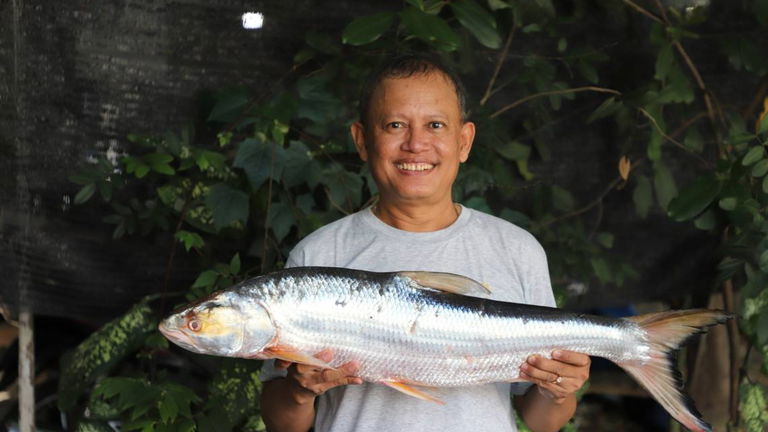 Estaba prácticamente extinto, pero ha reaparecido para sorpresa de todos. Así es el 'fantasma del Mekong'