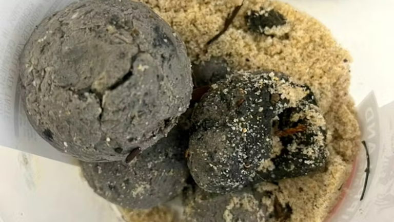 Unas misteriosas bolas aparecieron en las costas. Ahora sabemos lo que son, y es asqueroso