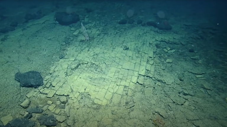 Una avanzada misión submarina encontró algo que no se esperaban: el camino de baldosas amarillas