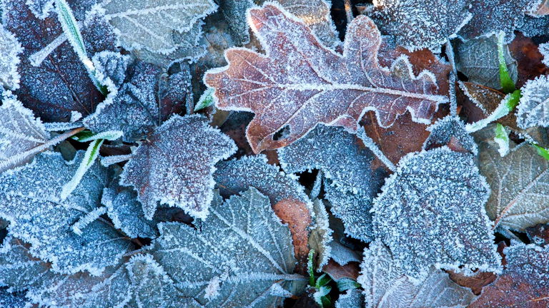 La aplicación del grafeno más sorprendente puede tener la clave contra lo más molesto del invierno