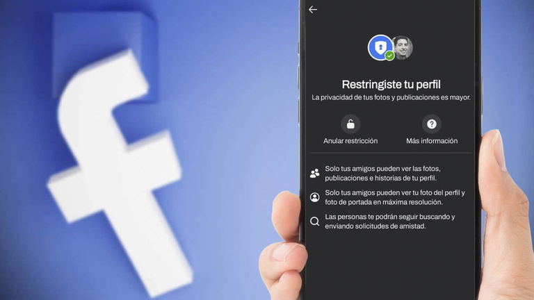 Cómo restringir el perfil de Facebook y qué hace exactamente esta opción