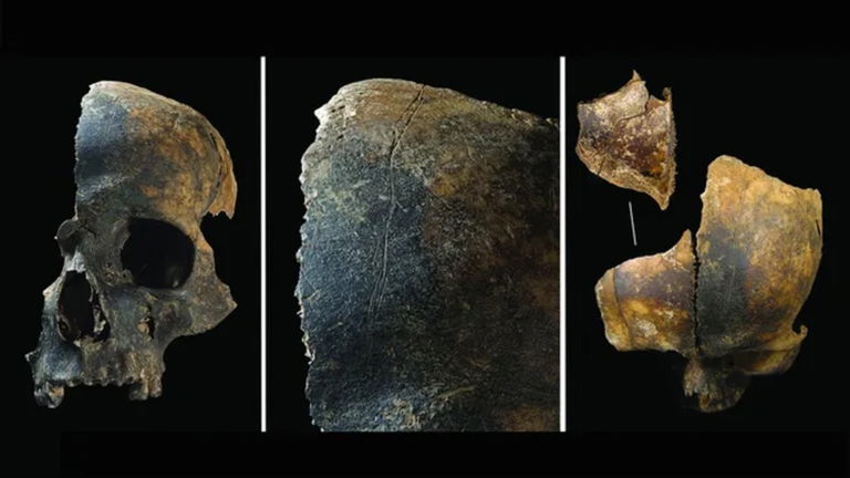 Canibalismo, evisceración y lenguas cortadas: así se "entretenían" nuestros antepasados hace 4.000 años