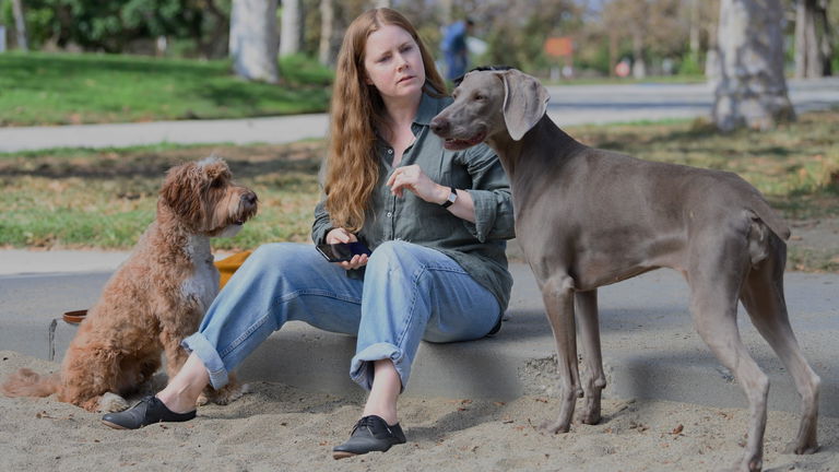 No habías oído hablar de ella, pero tiene a Amy Adams como protagonista y llega a Disney+ este mismo mes