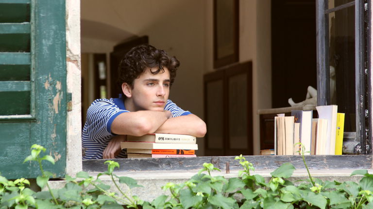 Timothée Chalamet ya estuvo nominado al Oscar antes, fue con esta obra maestra que está en streaming y te hará llorar