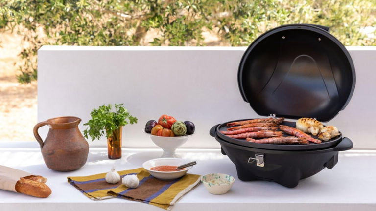 Ya es primavera, y esta barbacoa con descuento te vendrá de lujo cuando empiece el buen tiempo