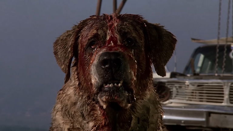 'Cujo', el perro más malo de Stephen King, tendrá su remake en Netflix