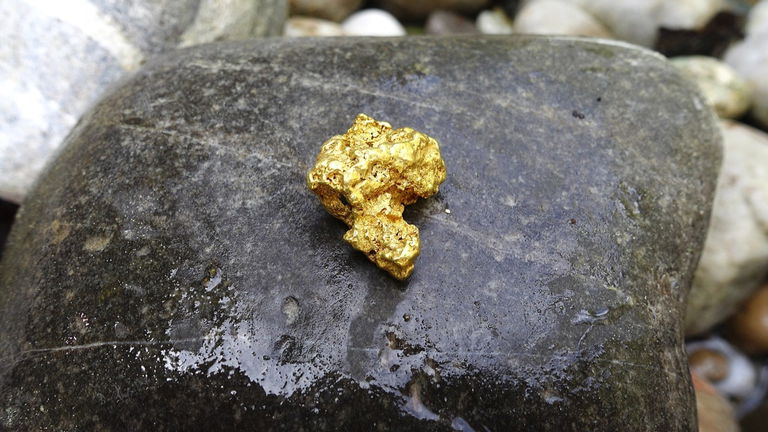 Han descubierto un depósito de oro gigantesco y con un valor descomunal
