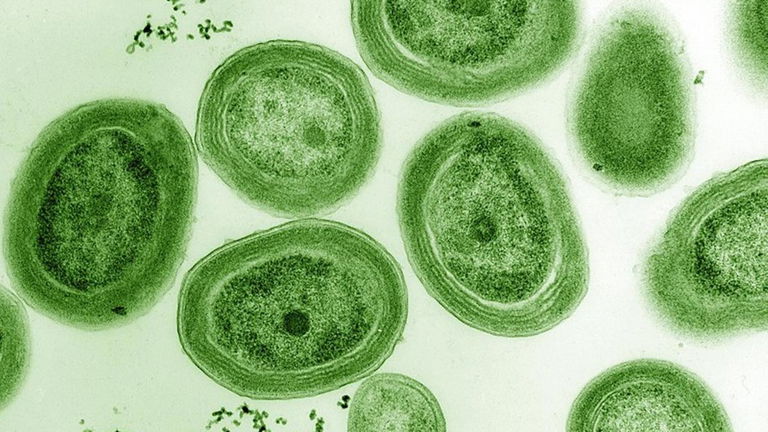 La tierra cada vez gira más despacio, y eso podría explicar por qué tenemos oxígeno