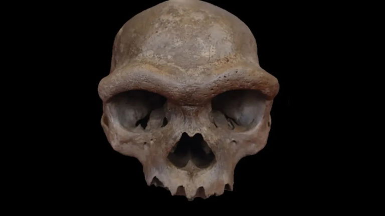 El "hombre dragón" de 146.000 años de antigüedad por fin tiene un rostro humano