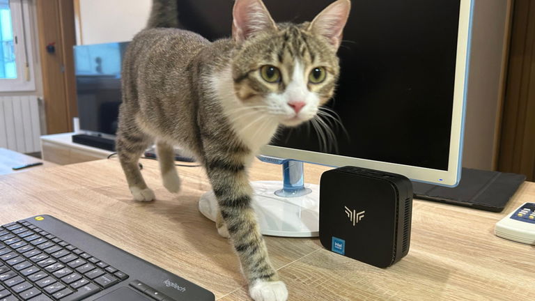 He visto el mini PC con el que trabajo a diario tirado de precio en Amazon, y no puedo más que recomendártelo encarecidamente