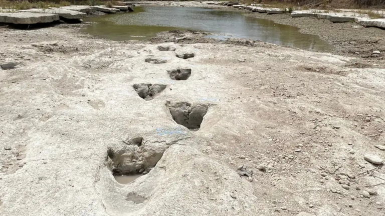 Las inundaciones de Texas revelan las pisadas de un dinosaurio gigante que vivió hace 15 millones de años