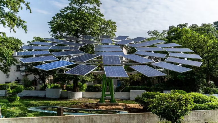 Árboles solares: la alternativa fotovoltaica que permite proteger el 99% de los bosques naturales