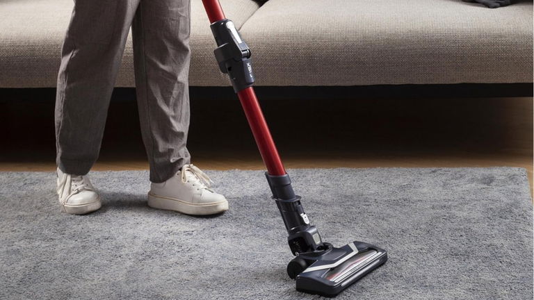 La Rowenta XPert 6.60 Flex Animal, muy recomendada por su potencia y flexibilidad, baja de precio