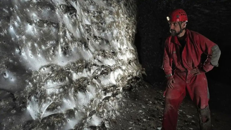 Se ha encontrado la telaraña más grande del mundo, y se encuentra más cerca de lo que imaginas