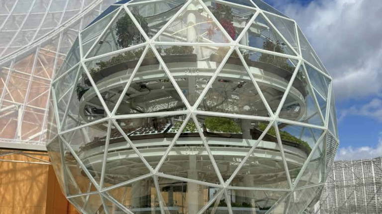 Las casas del futuro serán exactamente como esta: puede crear su propia comida para abastecerte