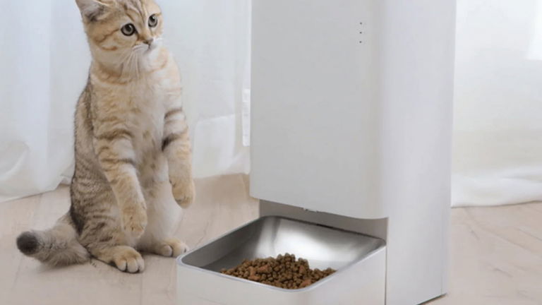 Si tienes mascota, este gadget de Xiaomi es una compra bestial que encima cuesta 50 euros menos