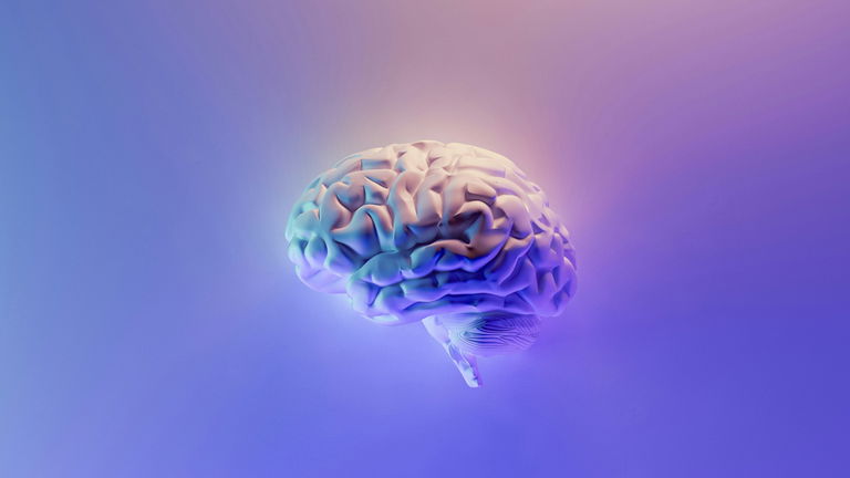 La mentira de los 25 años: un estudio masivo revela que tu cerebro sigue siendo "adolescente" hasta los 32