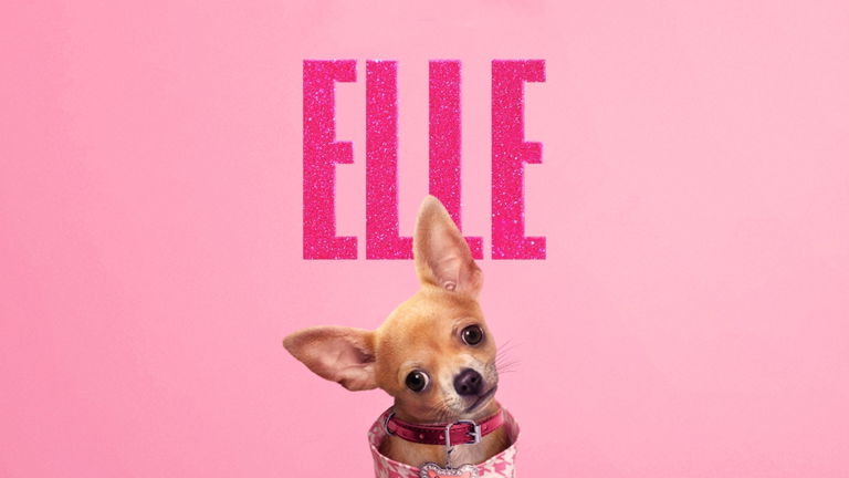 'Una rubia muy legal' estrena serie precuela en Prime Video y ya ha sido renovada por una segunda temporada