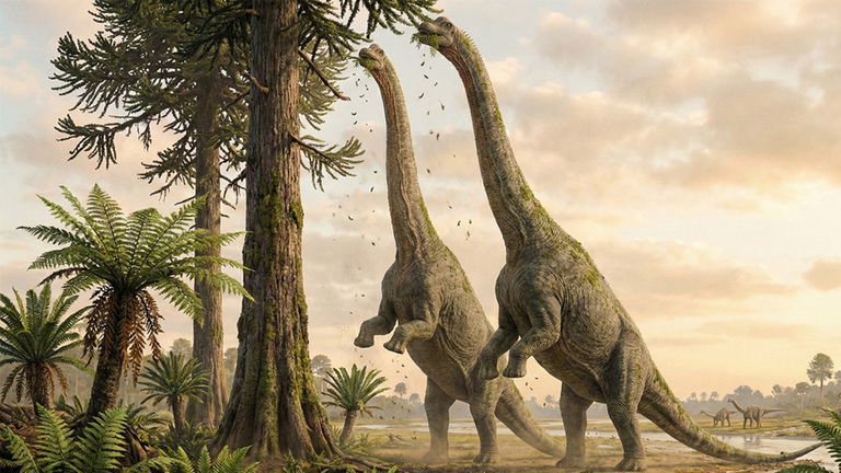 Ni trucos de cine ni magia: la ingeniería confirma cómo estos dinosaurios gigantes podían ponerse de pie