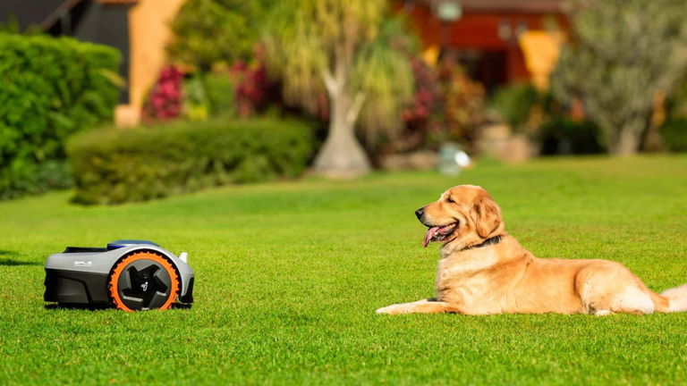 Tecnología RTK de alta precisión, visión e inteligencia artificial y 0 cables: el robot cortacésped que mereces tiene descuentazo